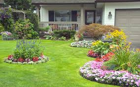 Landscape designing