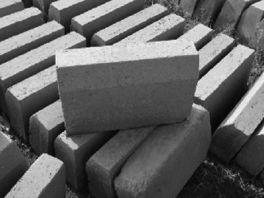 Fly ash brick